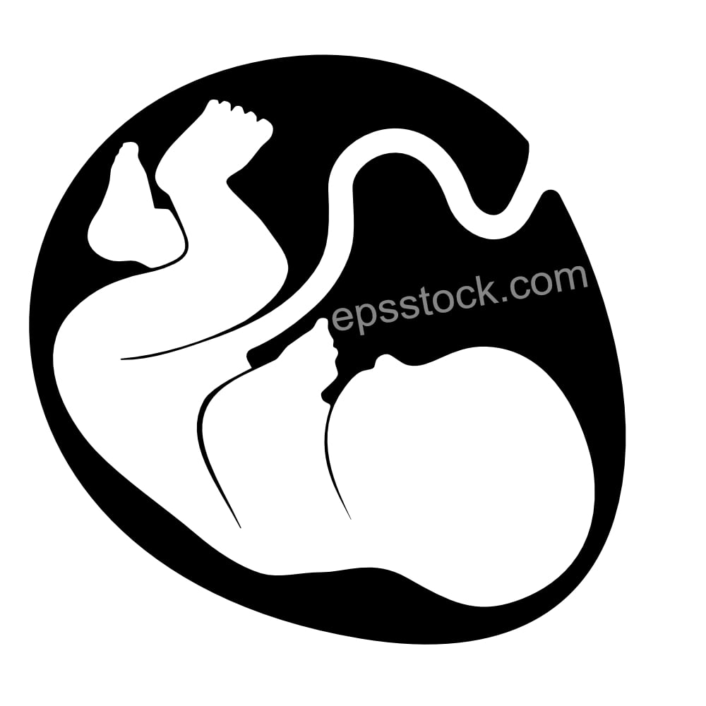 baby in mothers womb