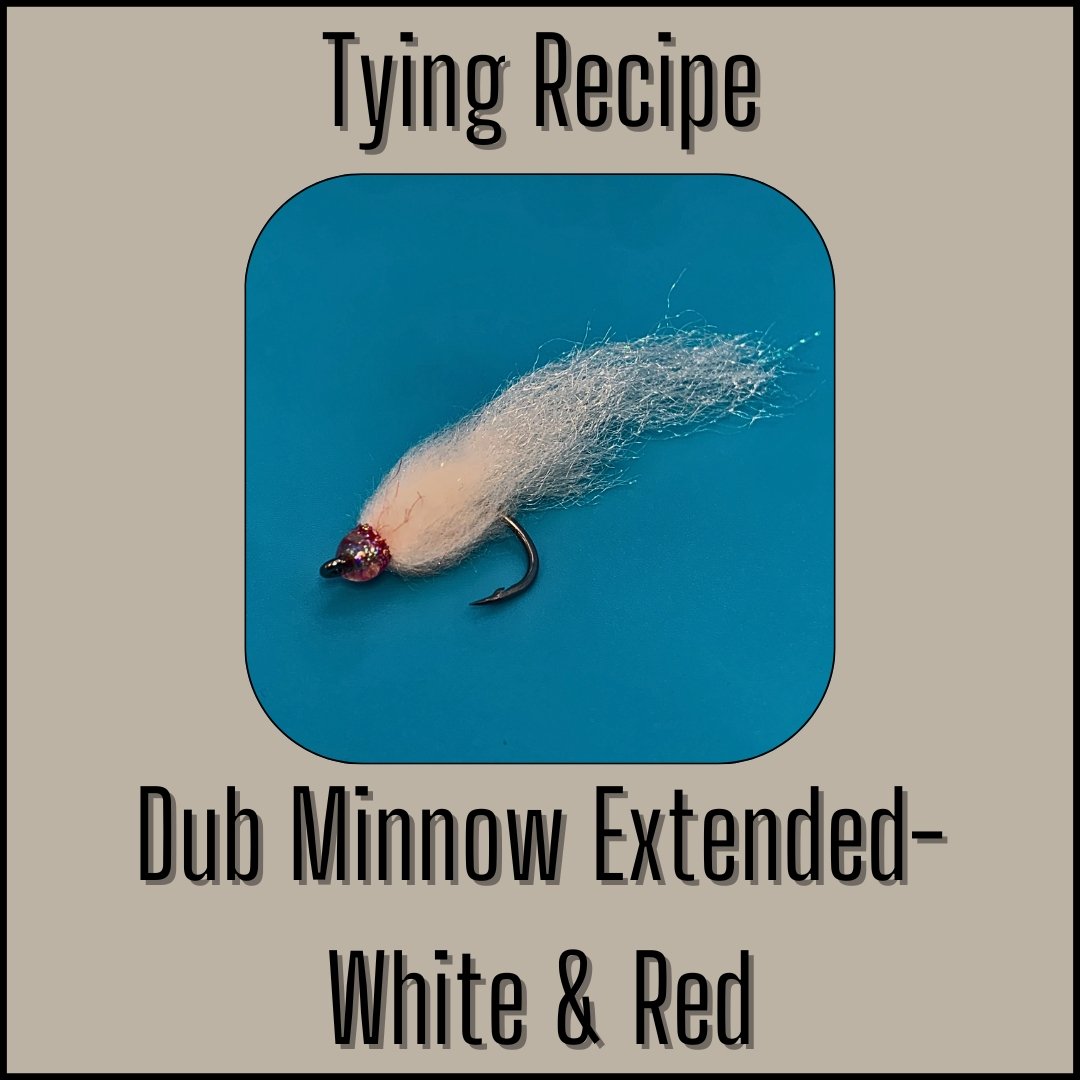 White & Red Dub Minnow Extended streamer fly tying recipe for bass fly fishing.