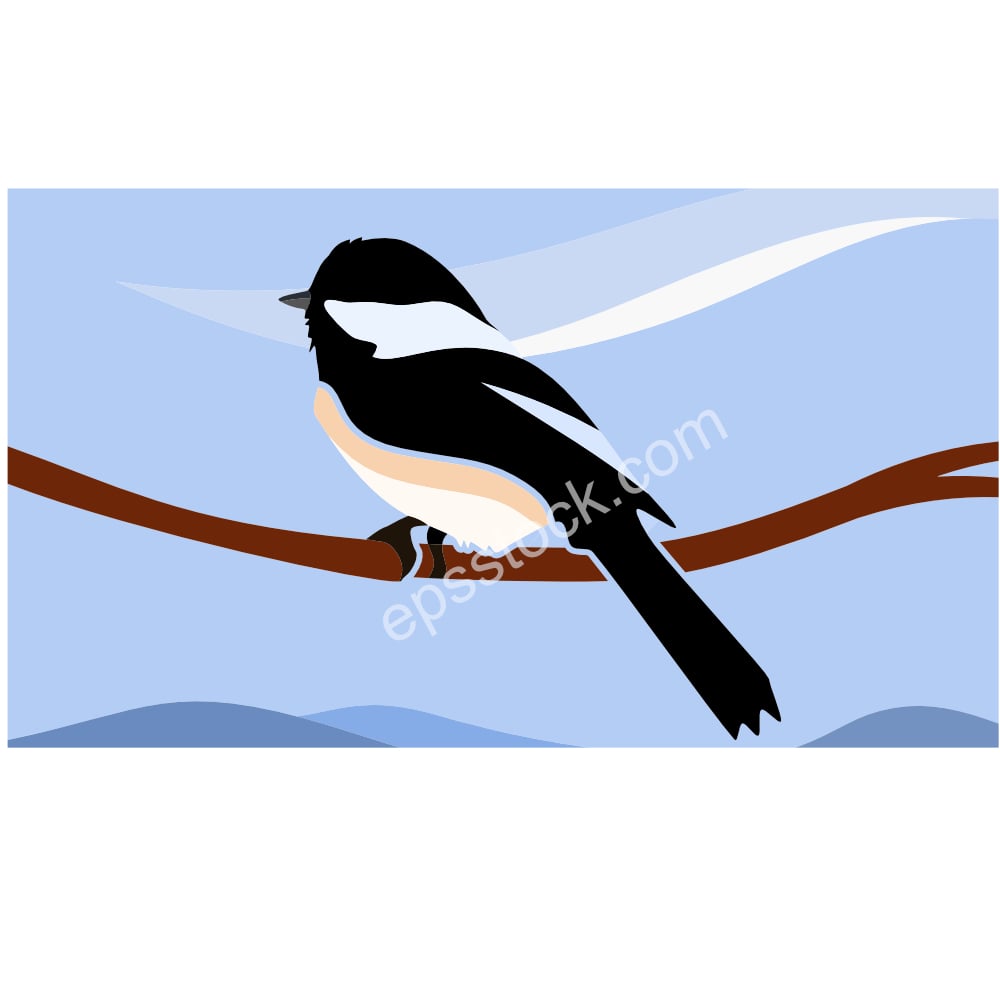Chickadees bird illustration