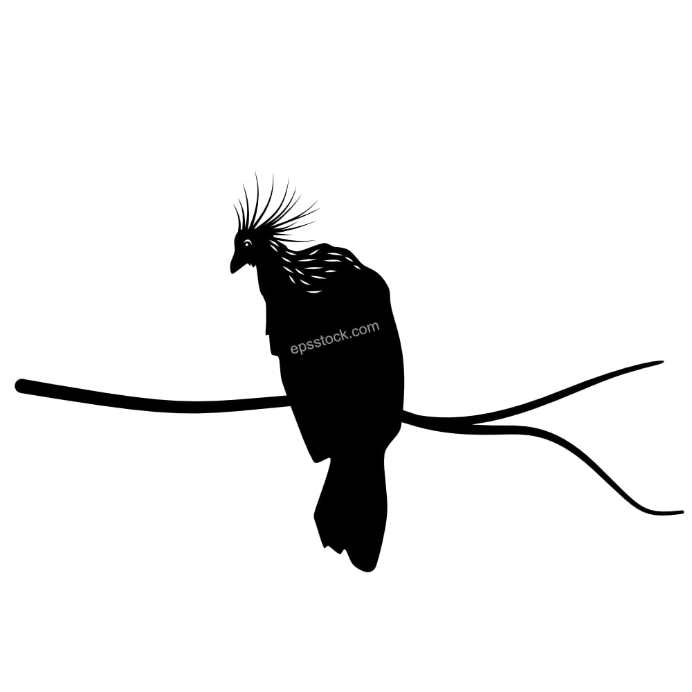 Hoatzin symbol
