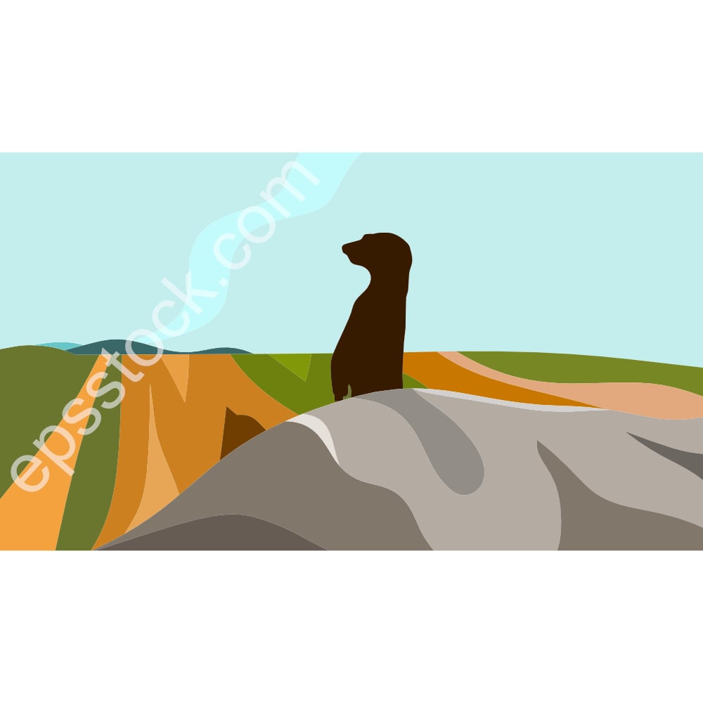 Meerkat illustration