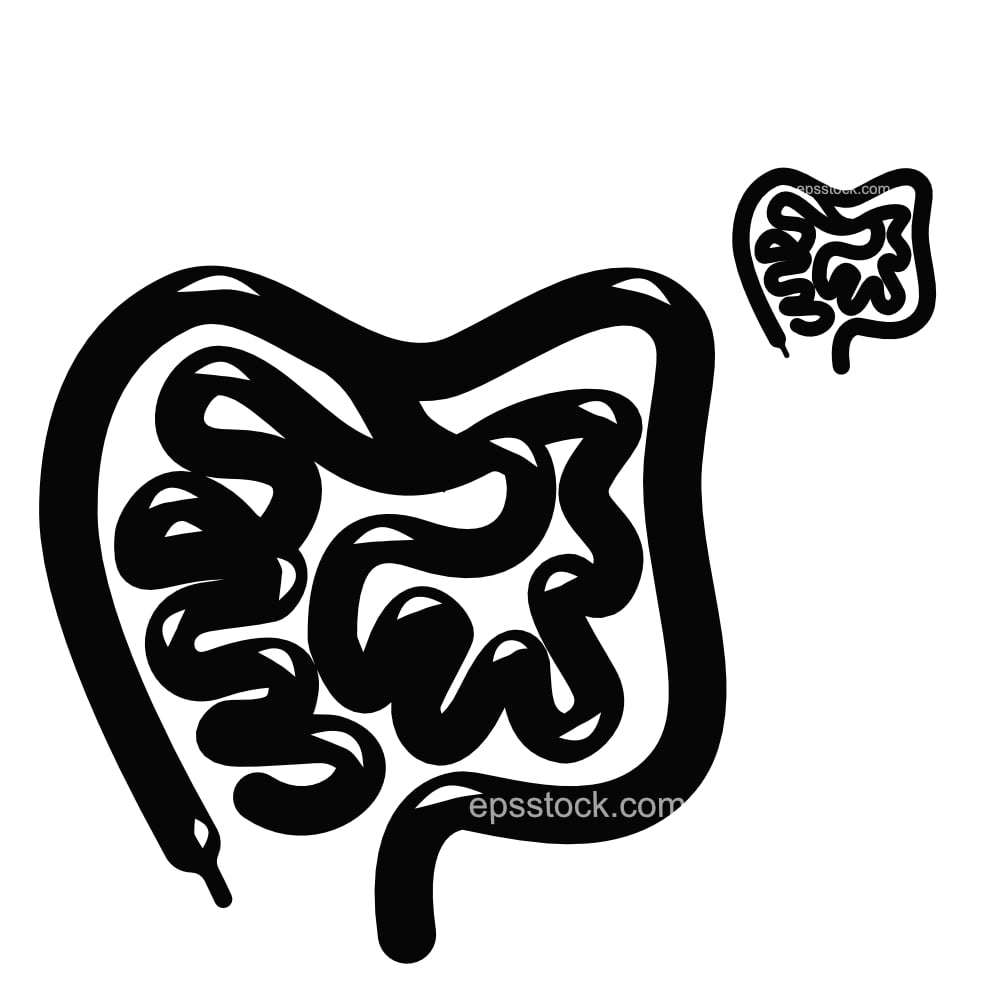 human intestines symbol