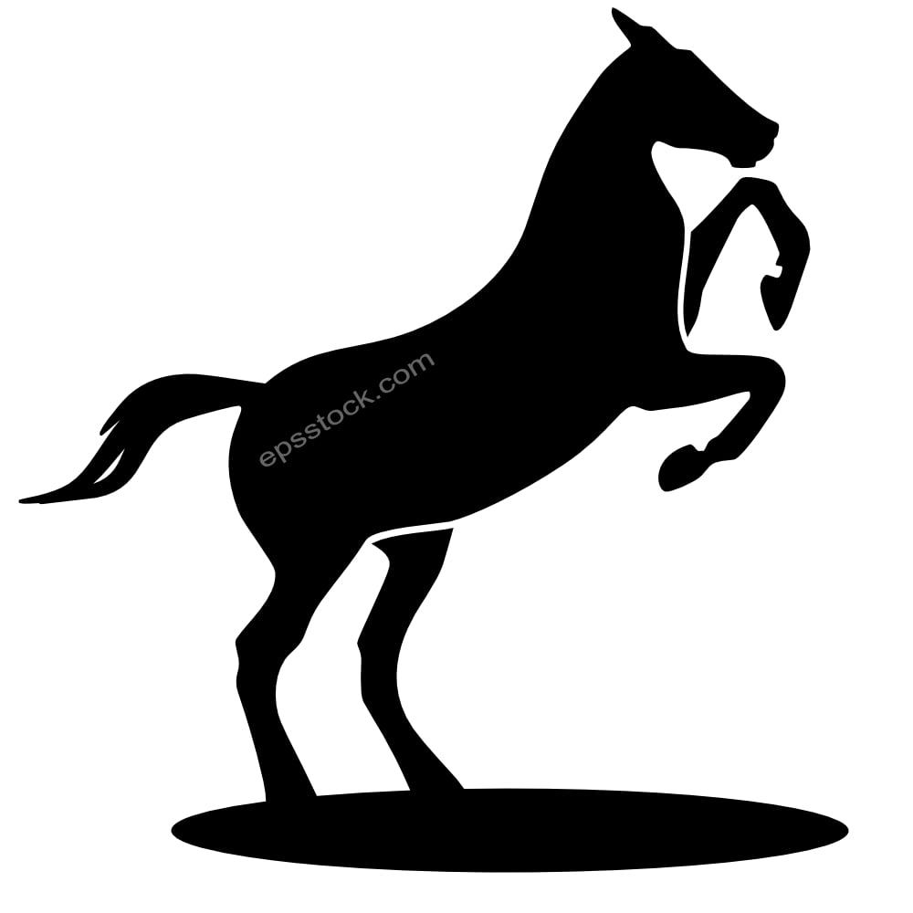 Horse stands on two legs