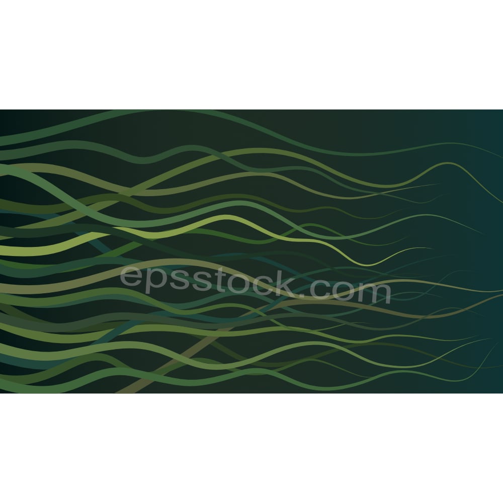 seaweed illustration