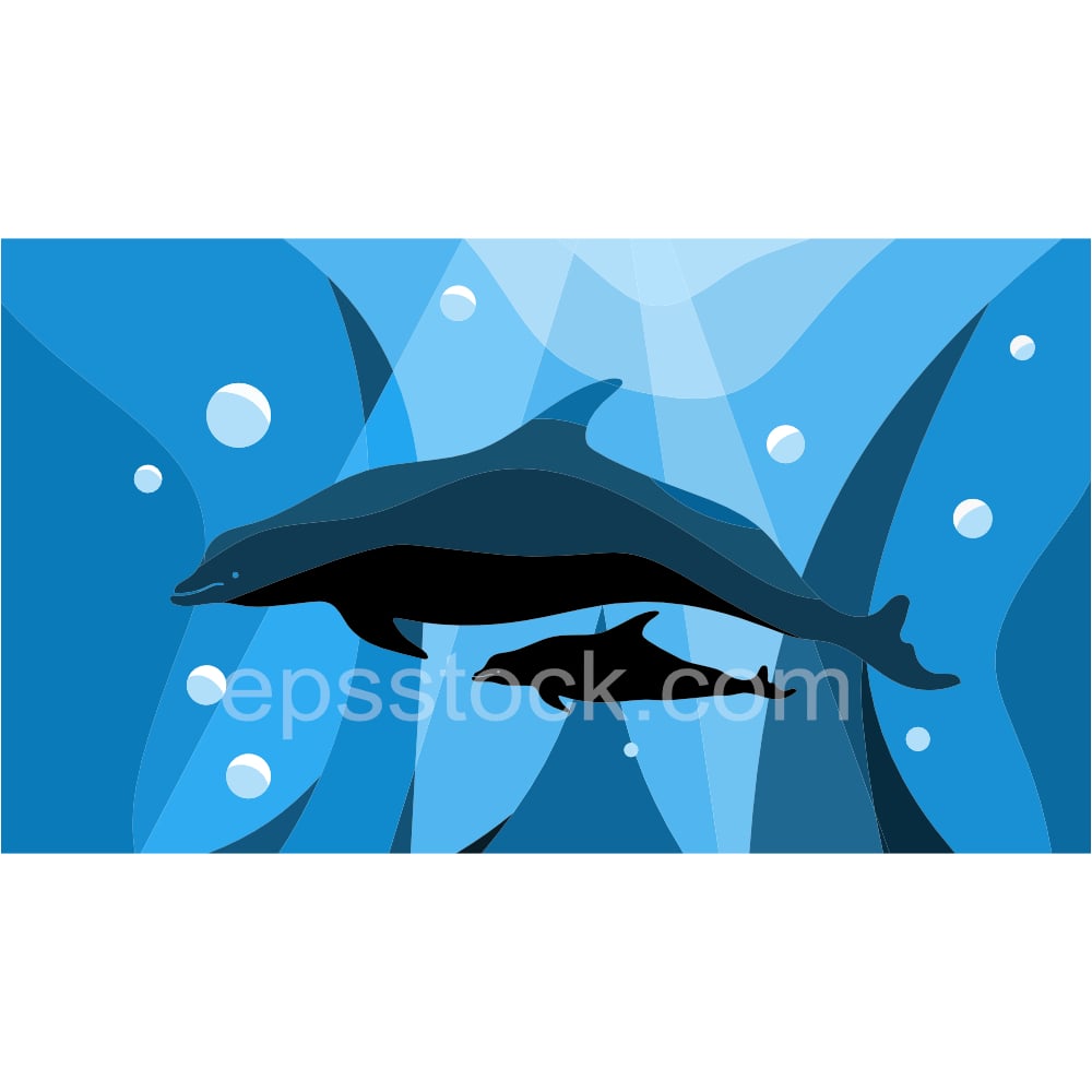 Baby dolphin and mother