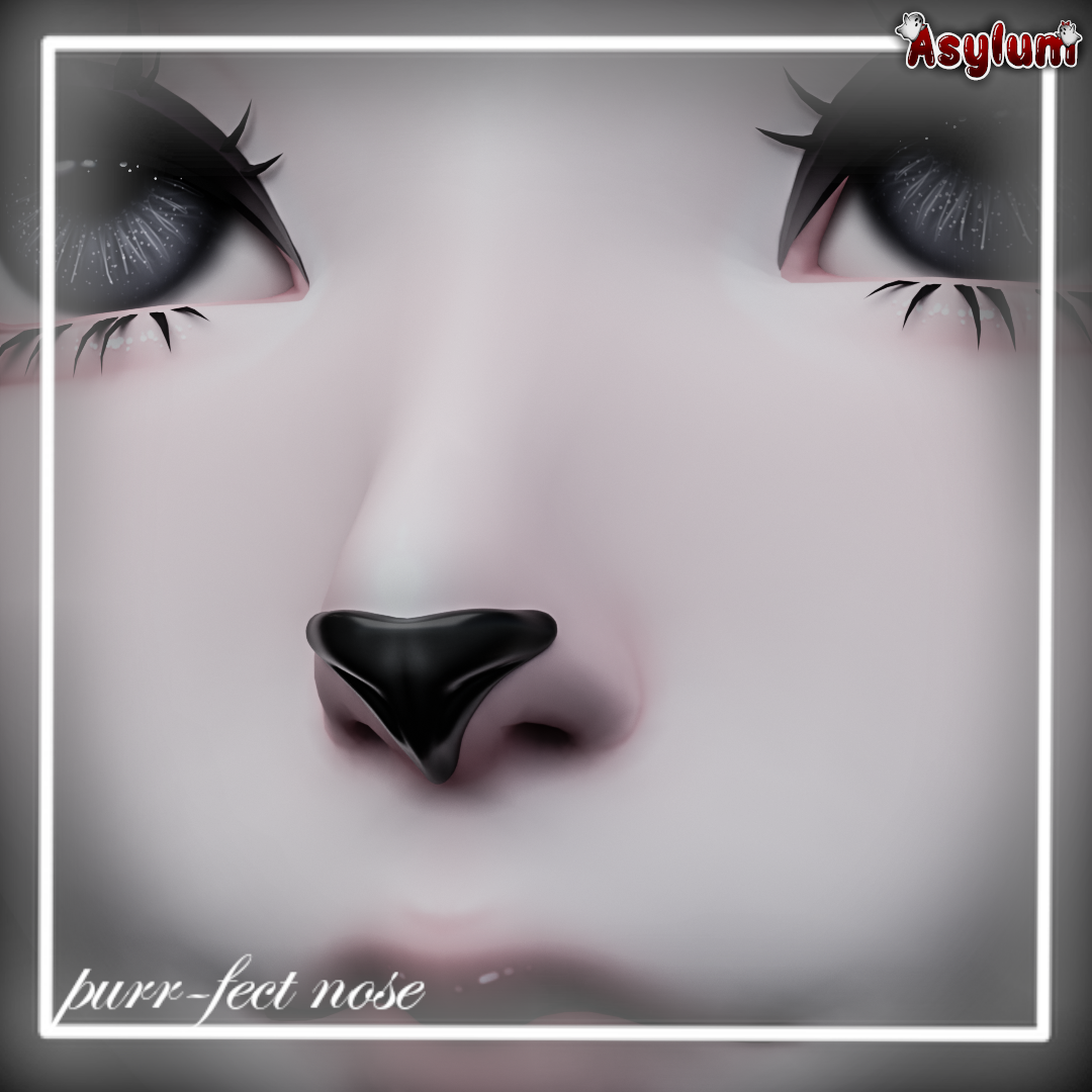 Purr-fect nose!(nitro)