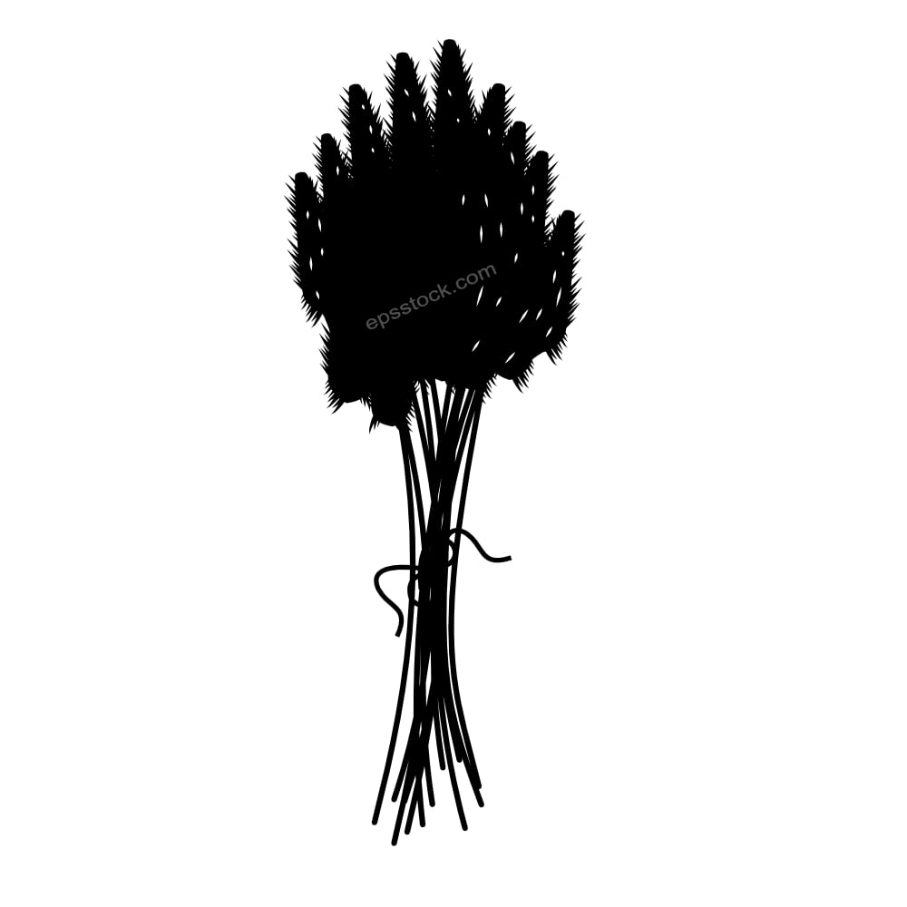 Sanmadrola Dried Pampas Grass Decor