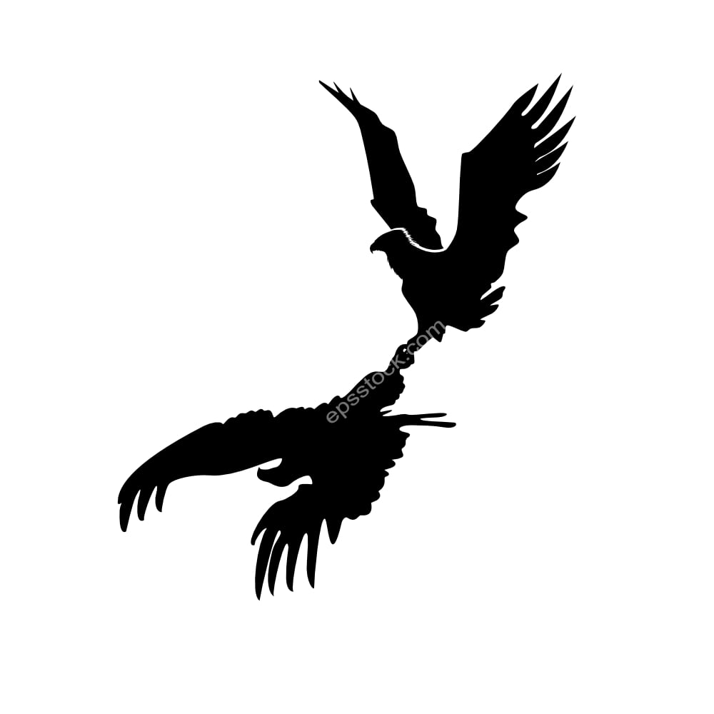 Bald eagles dance