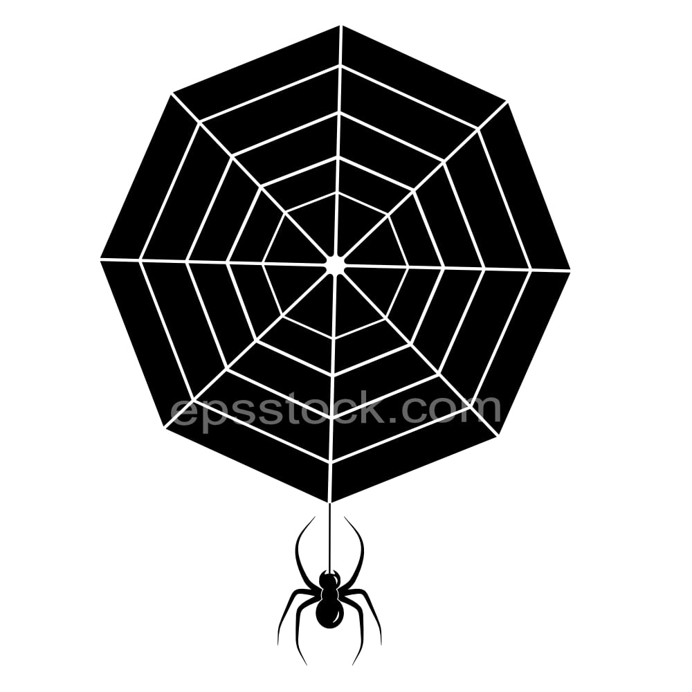 Spider web