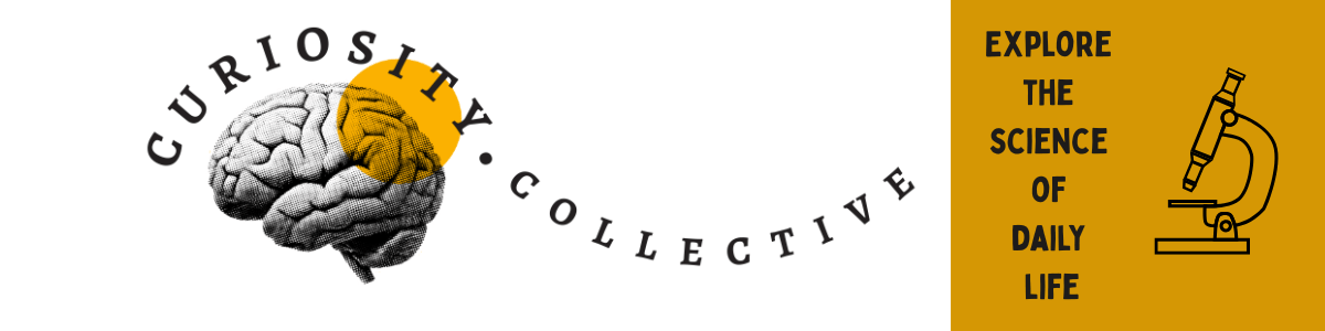 Curiosity Collective: Explore the Science of Daily Life