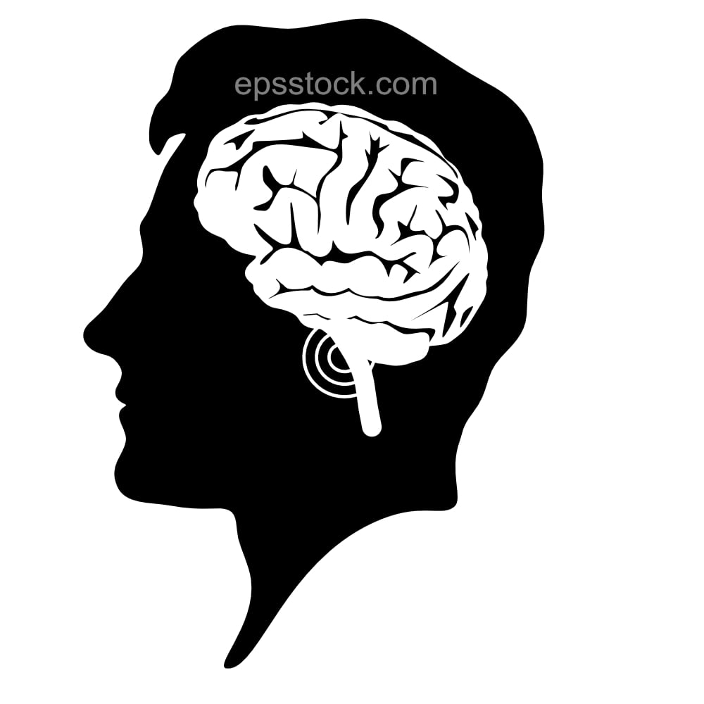 Brain stem death