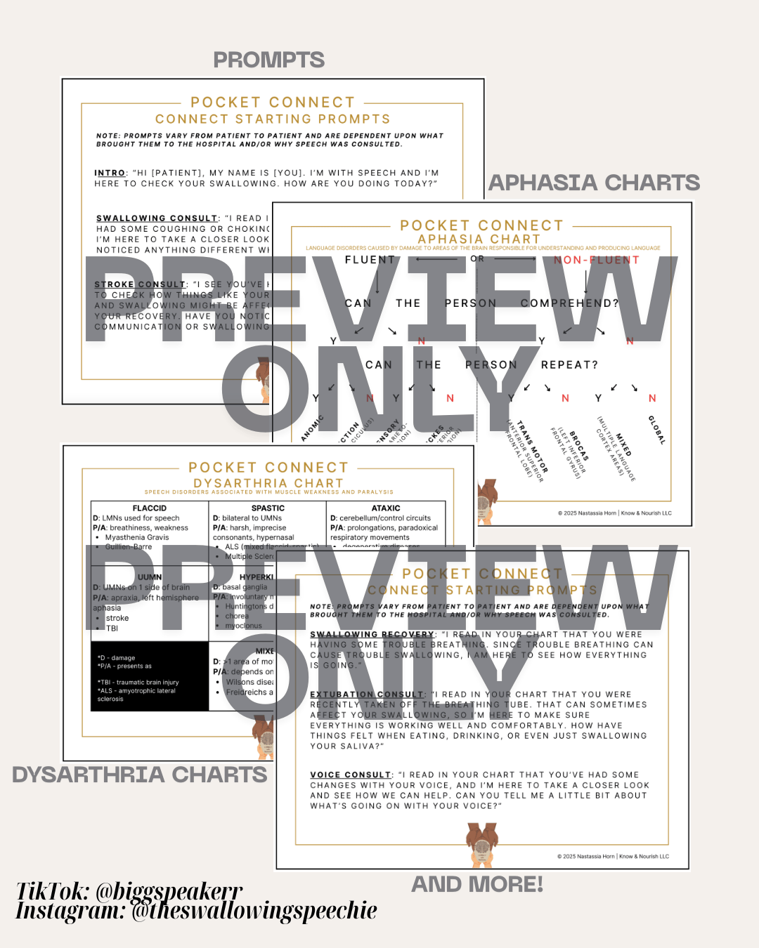 Preview collage of Pocket Connect pages including prompts, aphasia chart, and dysarthria chart.