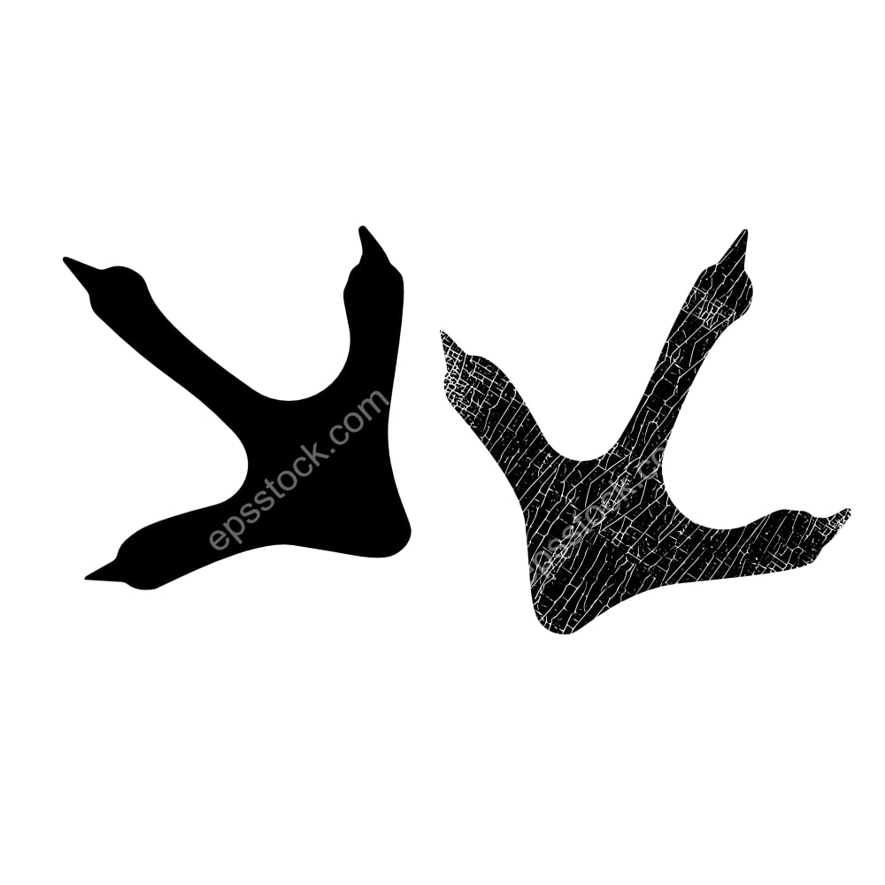Birds paw prints