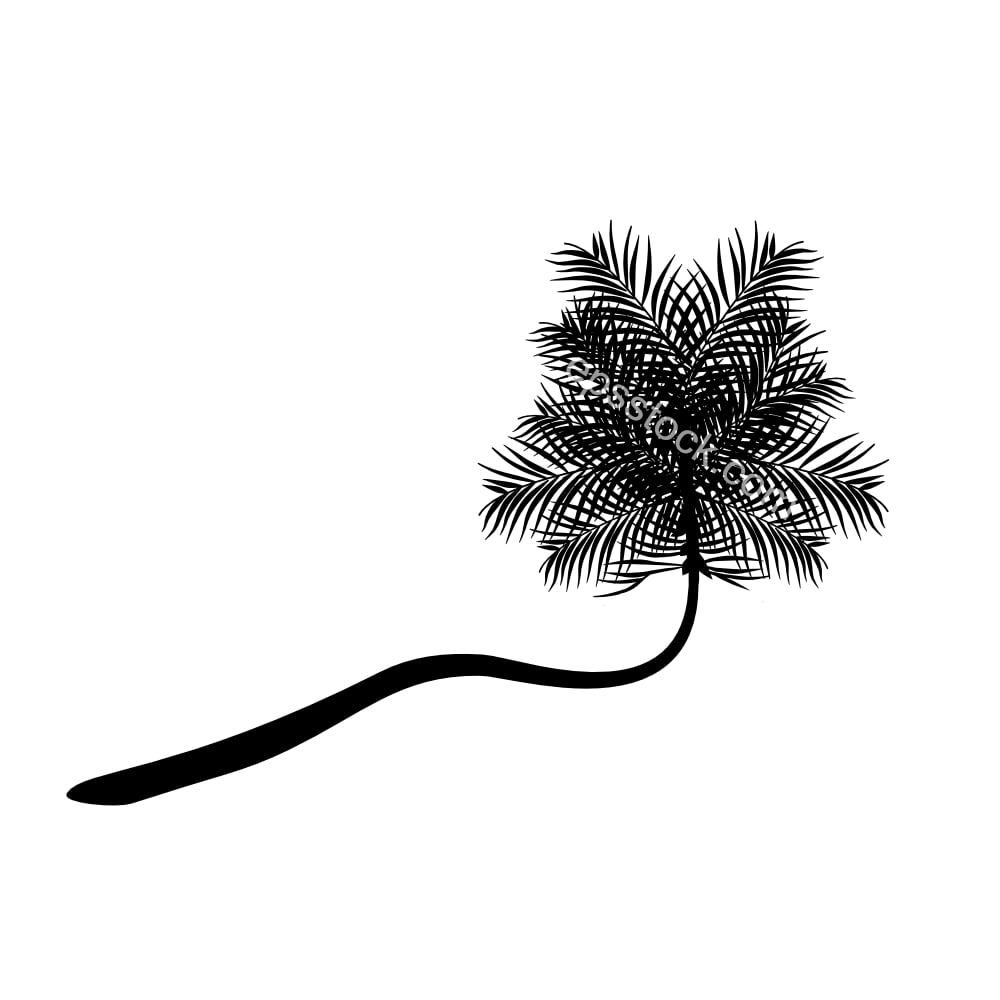 curved palm tree