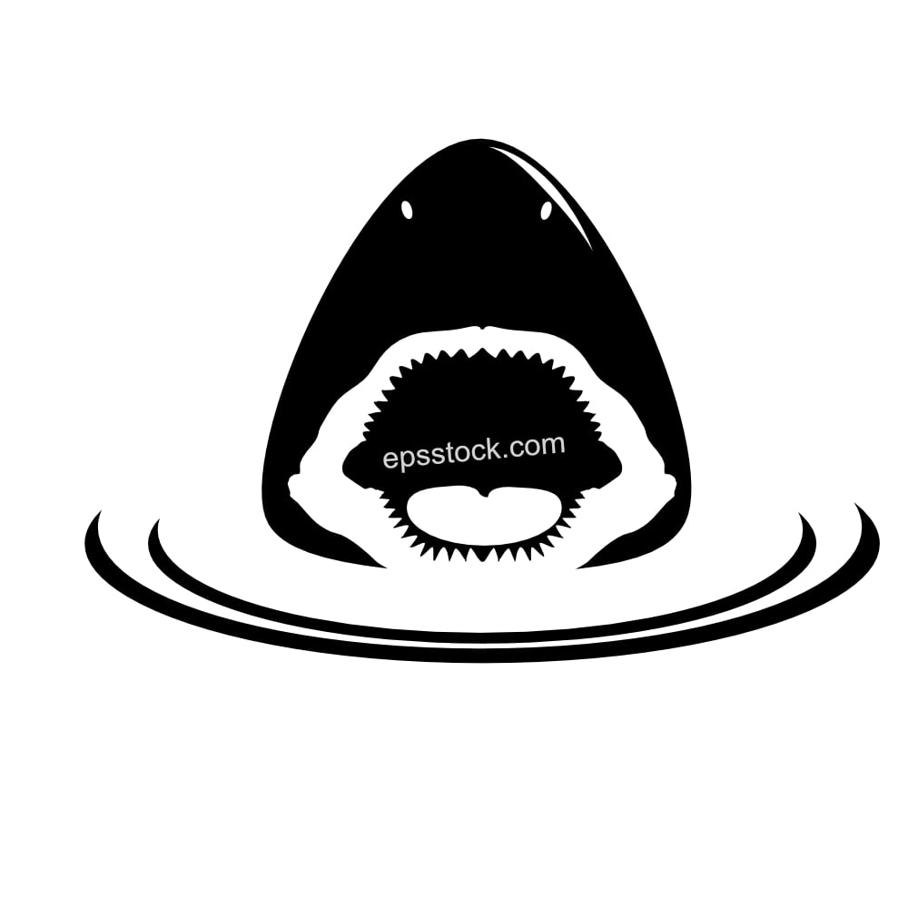shark looking from water