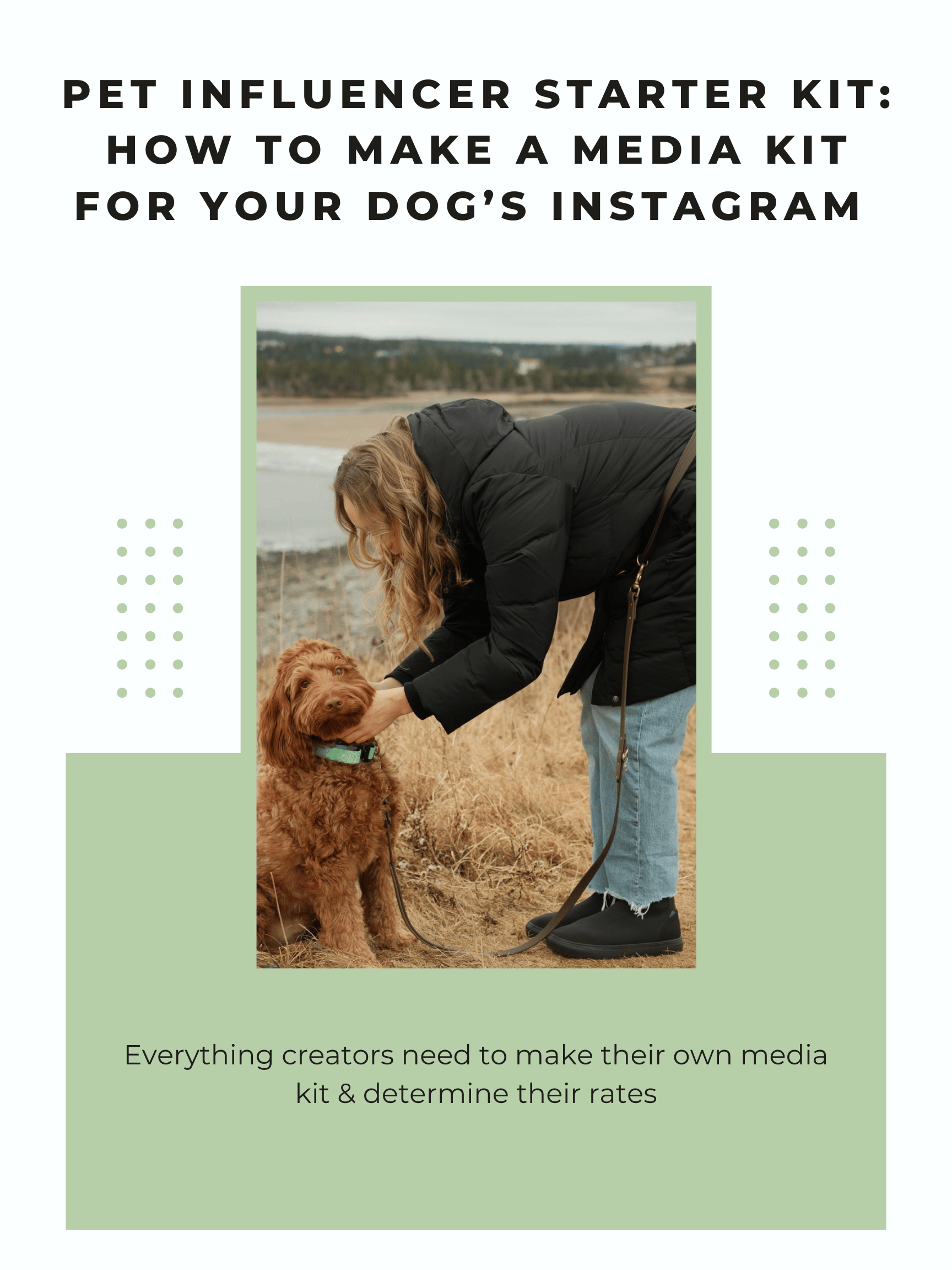 Pet Influencer Starter Kit: How to Make a Media Kit for Your Dog’s ...