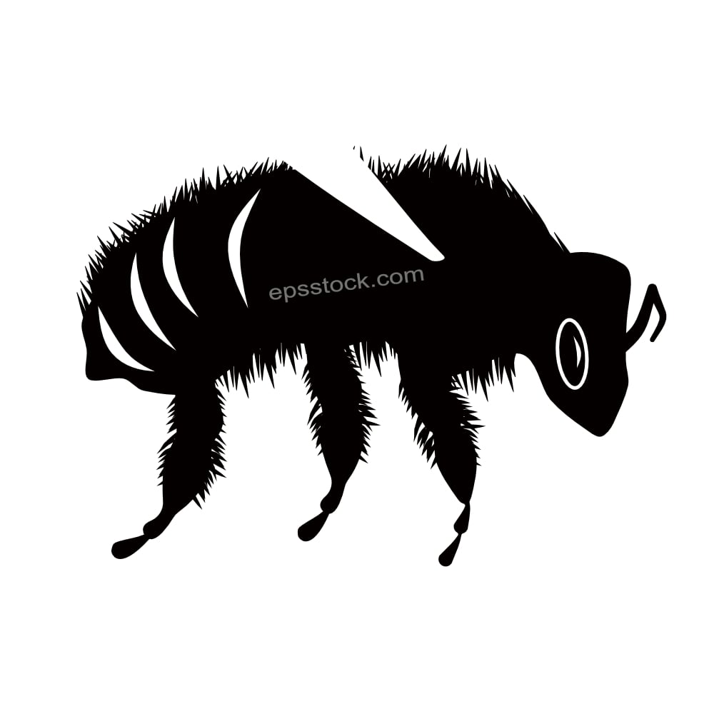 Honey Bee