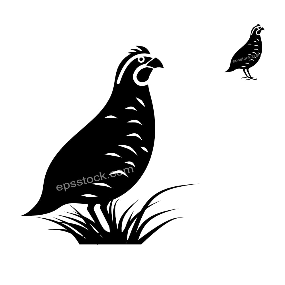 Quail symbol