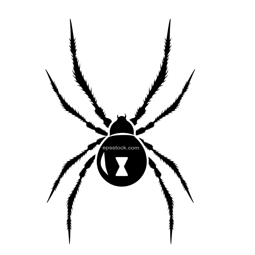 Black widow spider