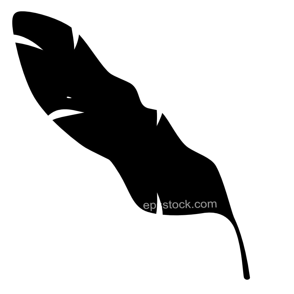palm leaf