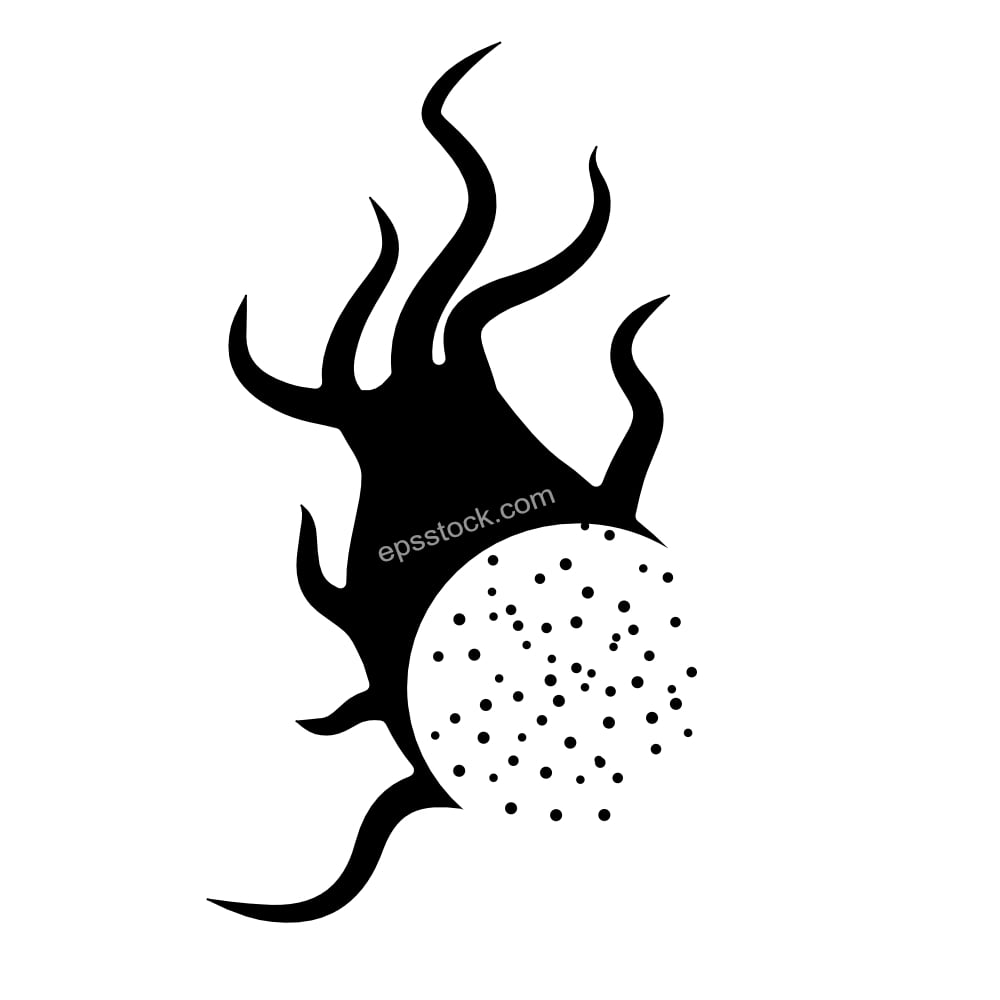 dragon fruit symbol