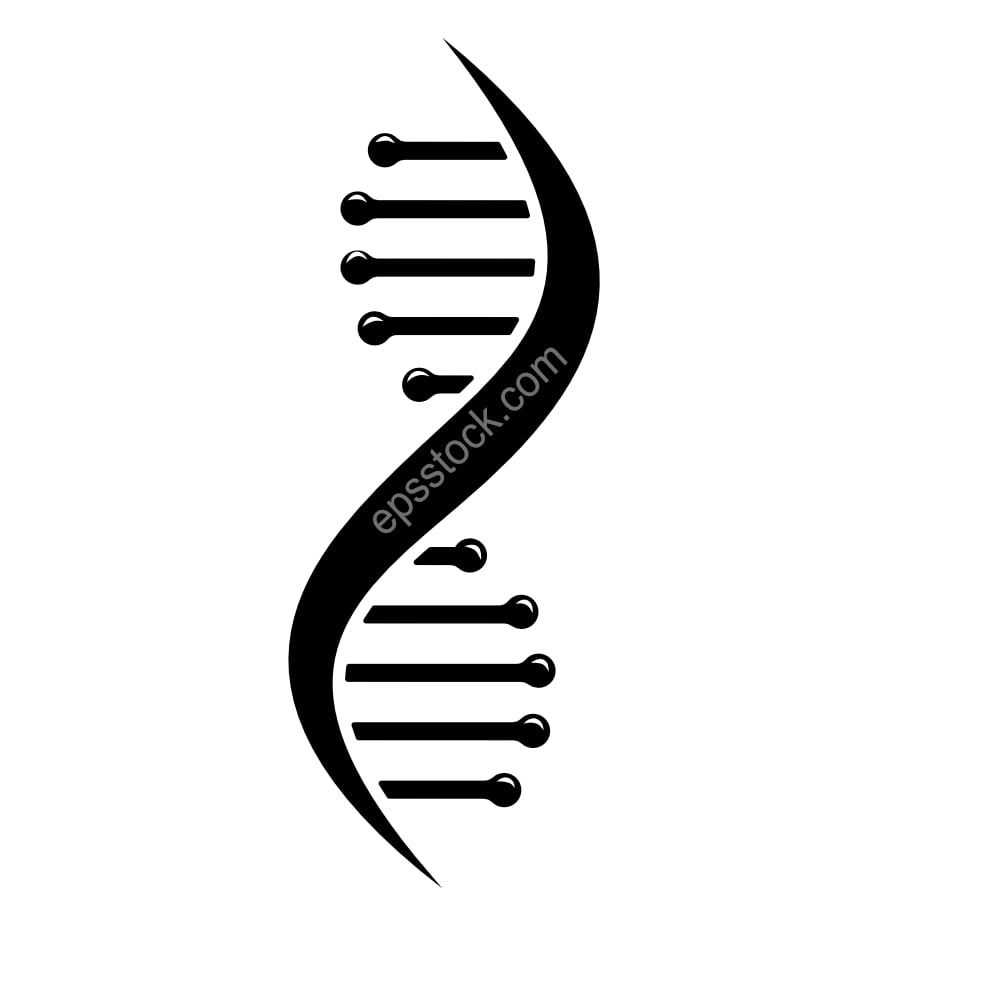 DNA spiral