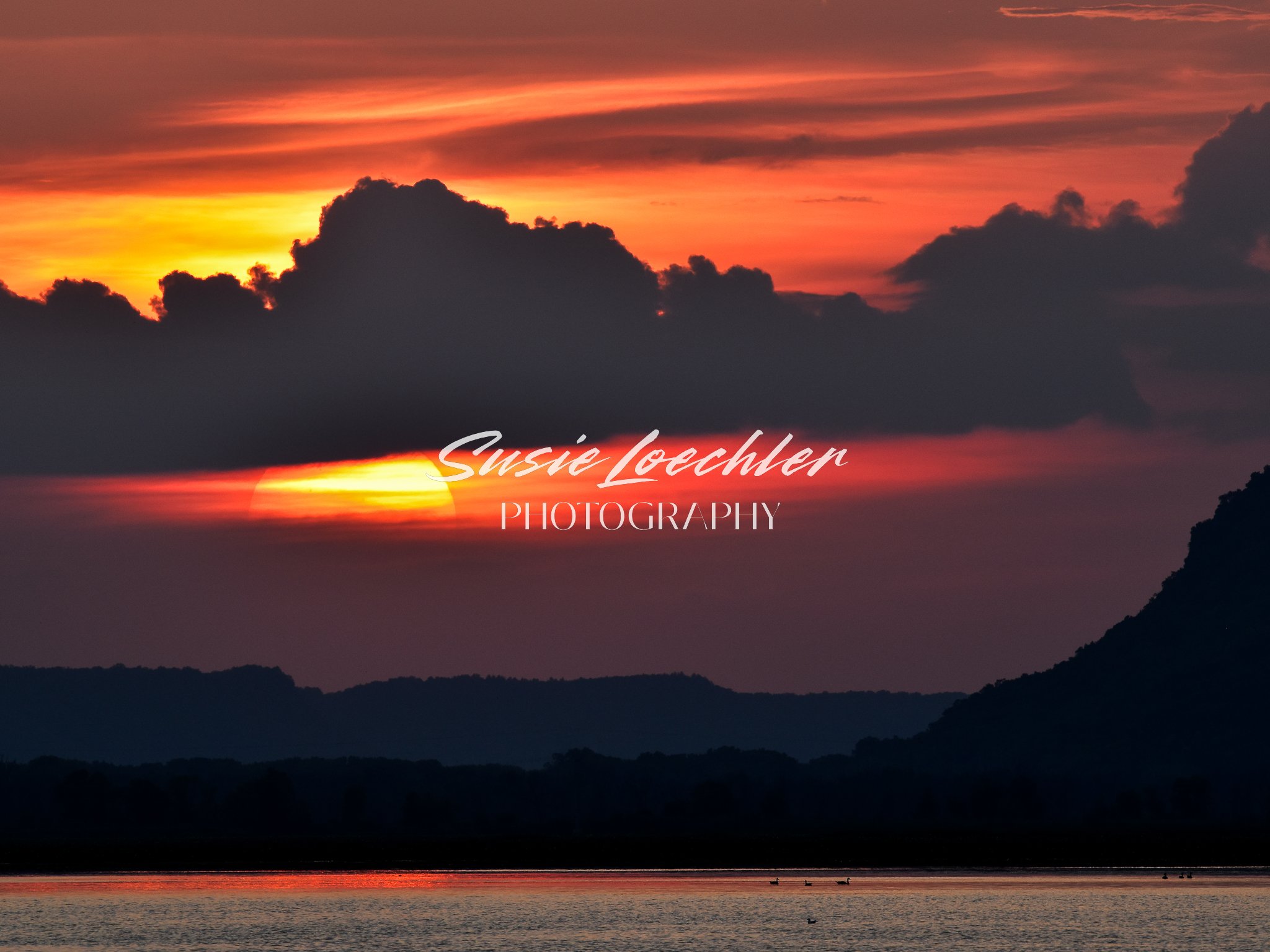 Susie Loechler Photography - Into the Sunset
