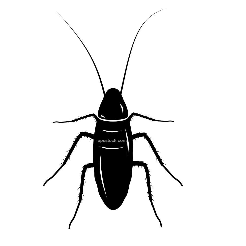 cockroach symbol