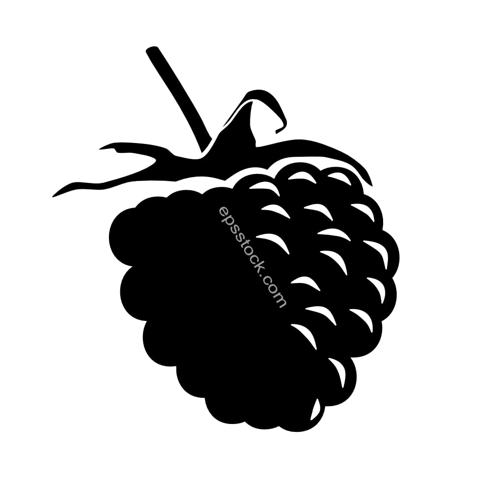 Raspberries symbol