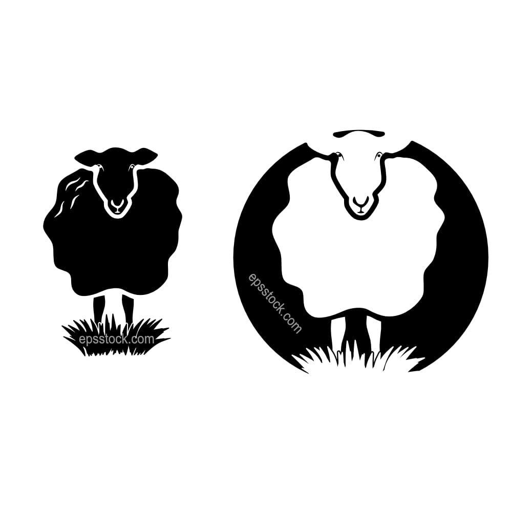 sheep with big wool