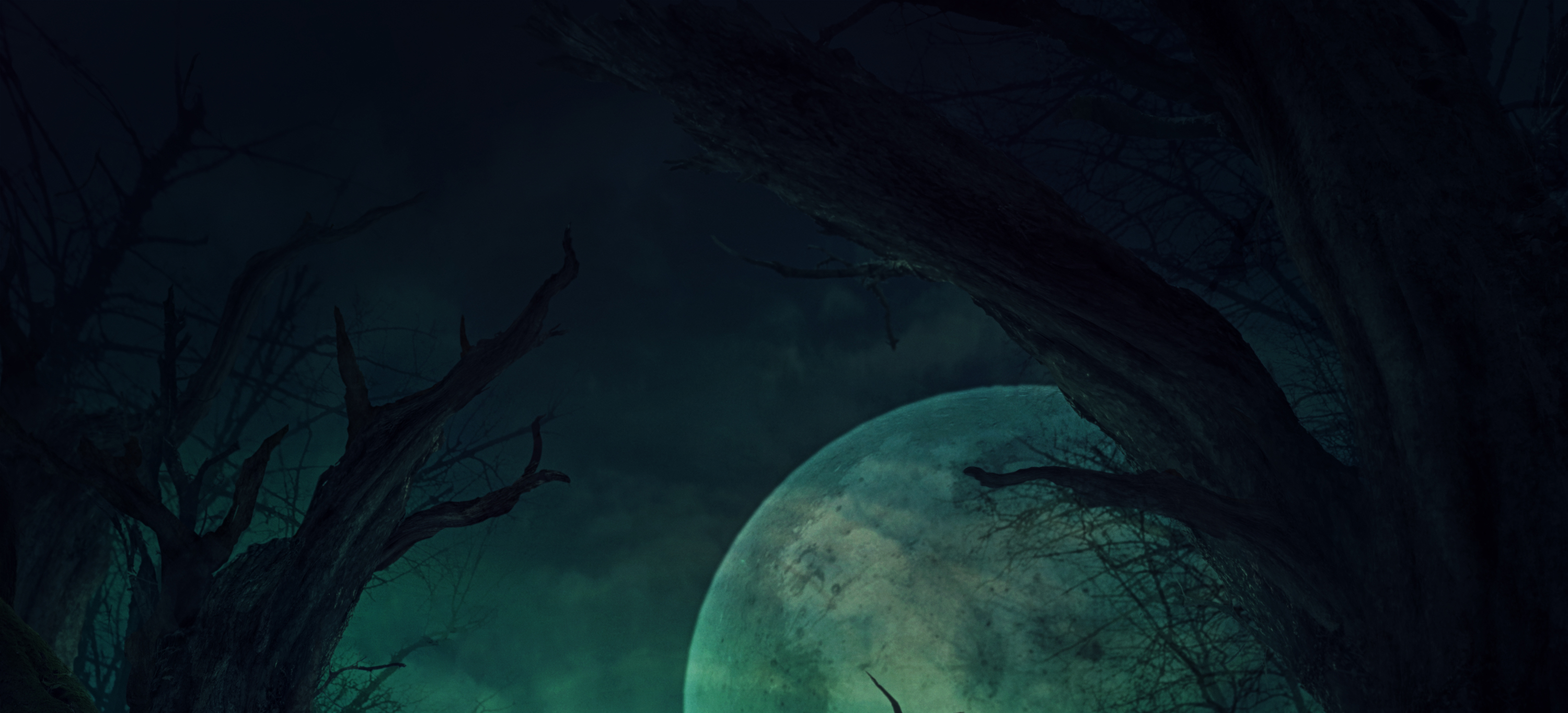 Holly Hook Book Monster Academy YA Academy Fantasy Novel Audiobook eBook Series Header