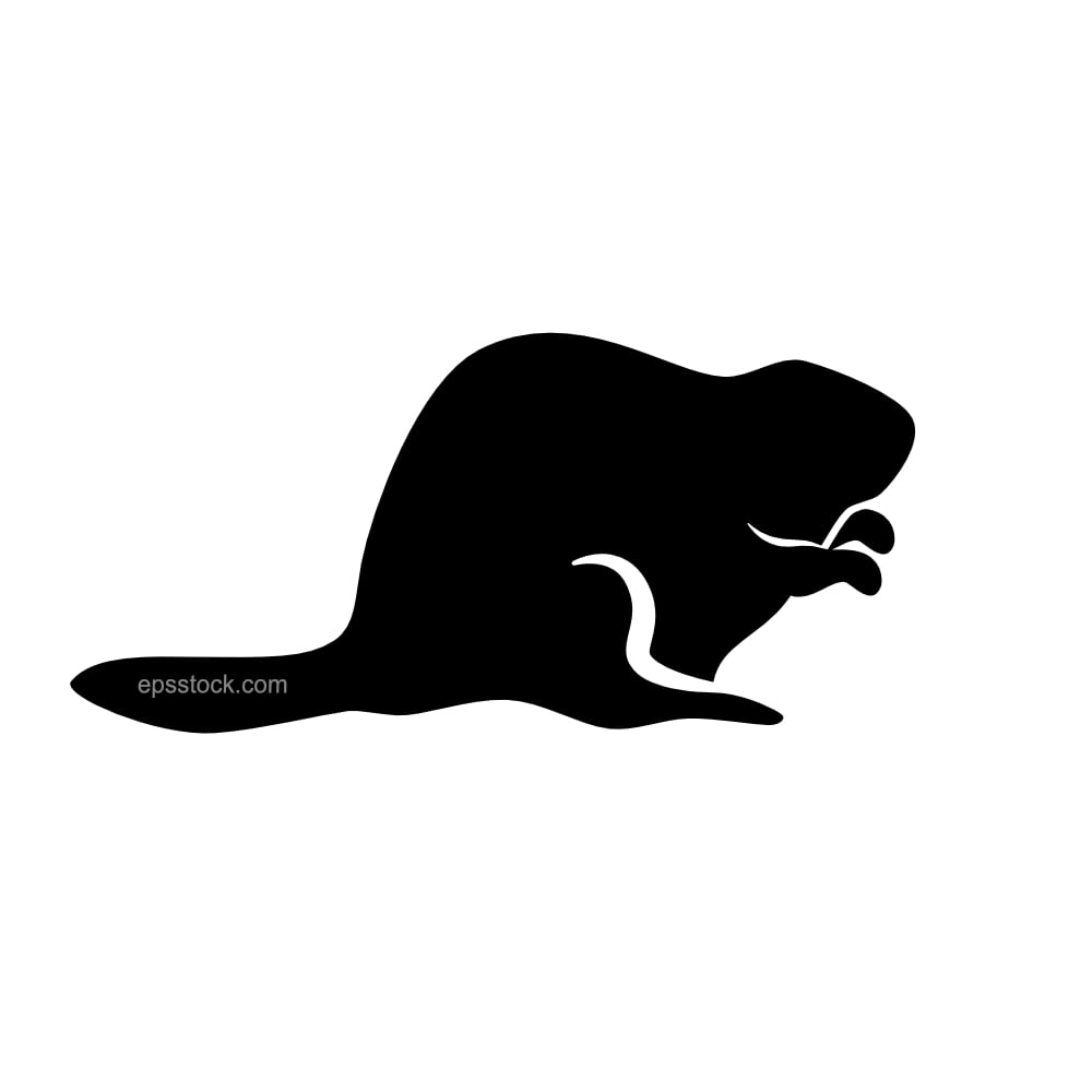 Canadian Beaver