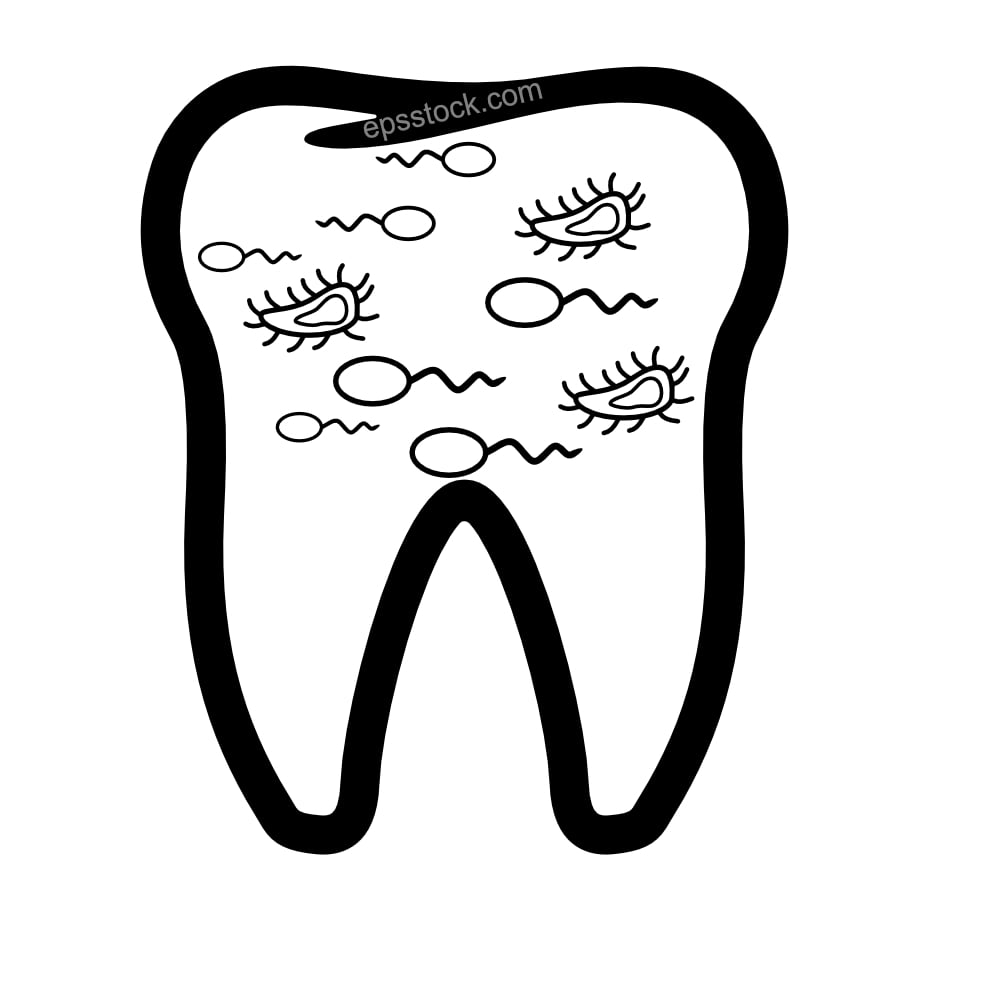tooth and bacteria