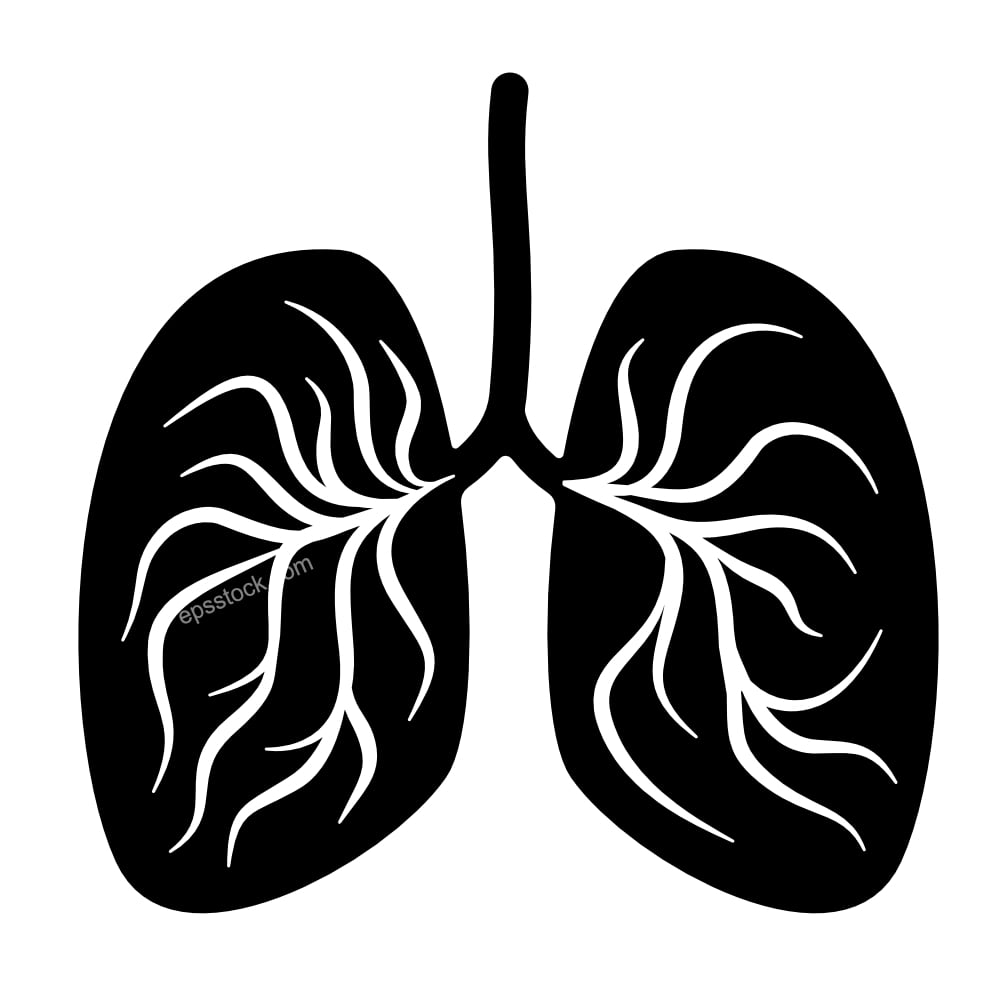 Pneumonia lungs