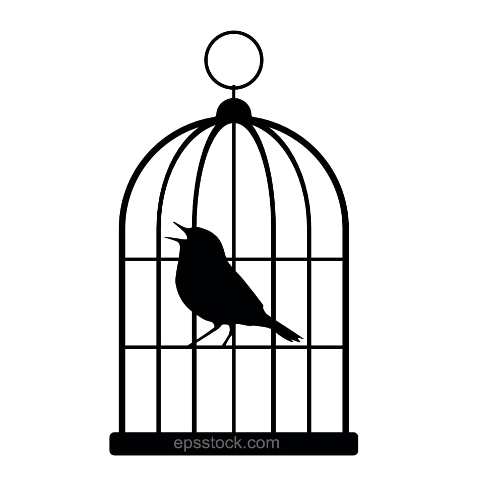 Bird in cage