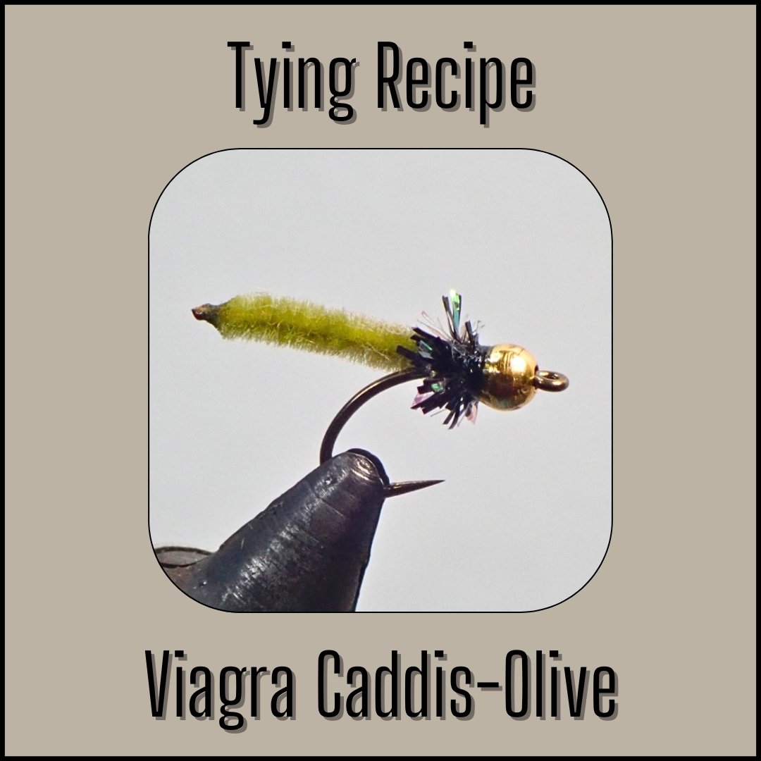 Tying recipe for the bead head Olive Viagra Caddis emerger nymph for trout.