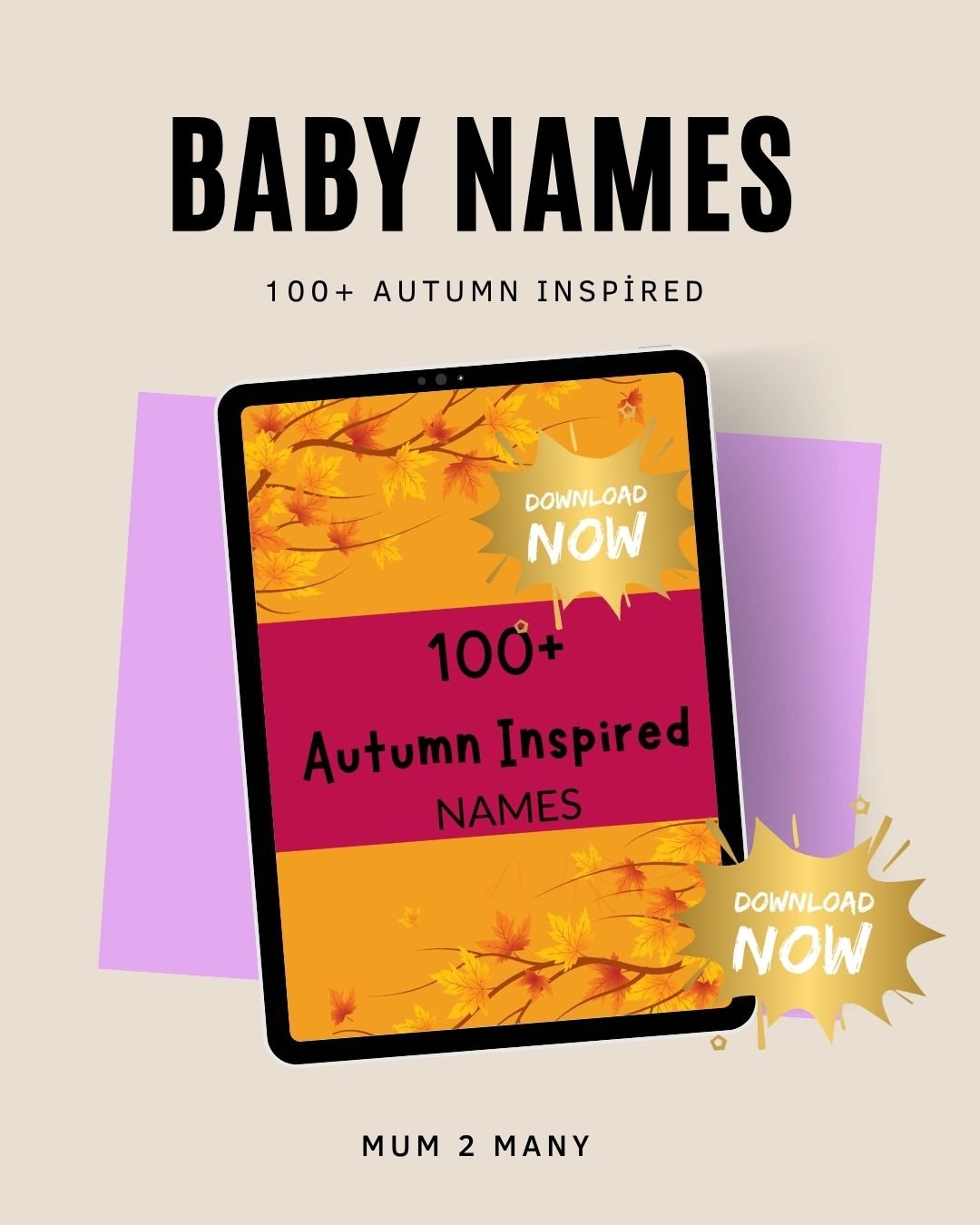 Fall Names Boy Fall/ Autumn Baby | 100 Autumn Inspired Baby Names - Payhip
