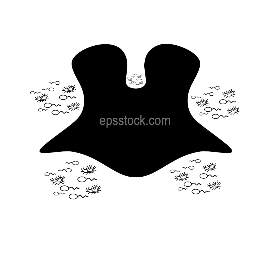 bacteria in the oral cavity