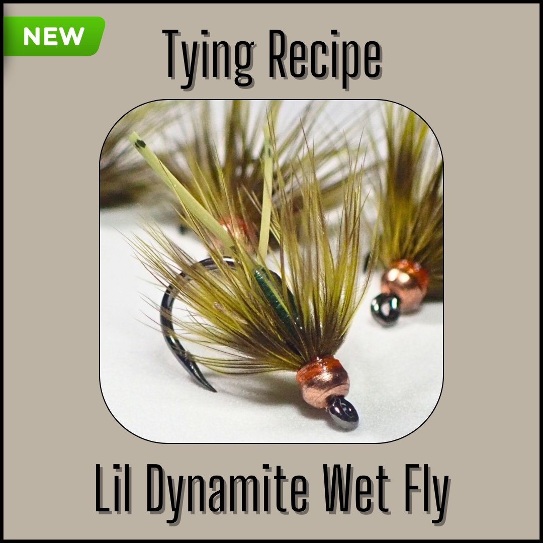 Tying recipe for the Olive Lil Dynamite wet fly, designed by Matt Campbell, The Fly Guy, for trout, panfish, and carp.