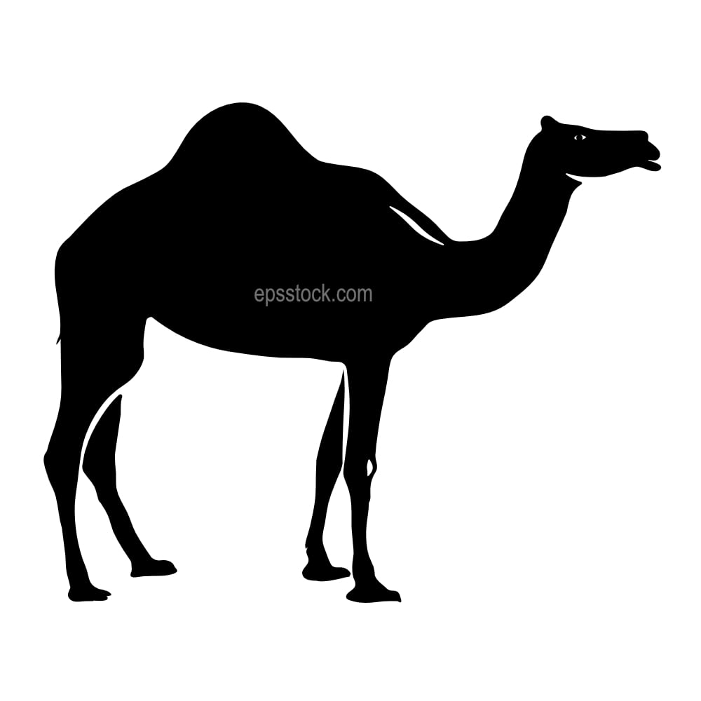 camel emblem