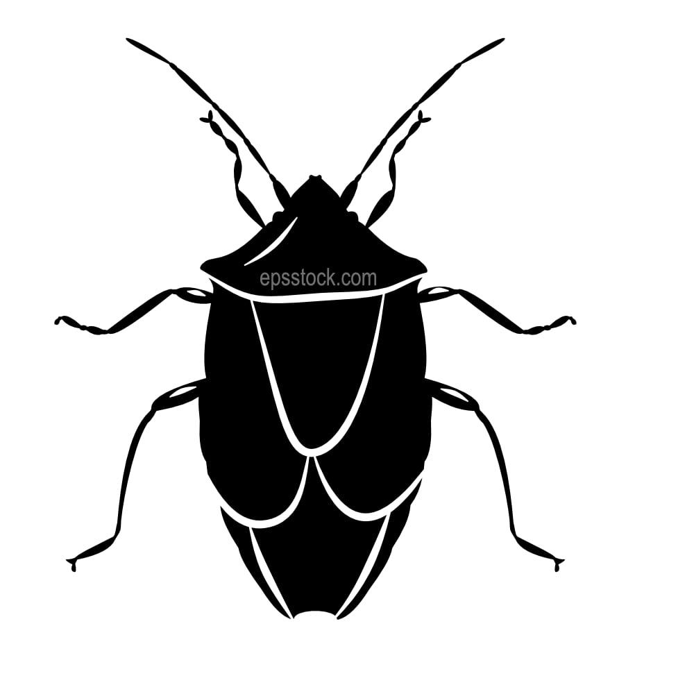 Spined Green Stink Bug emblem