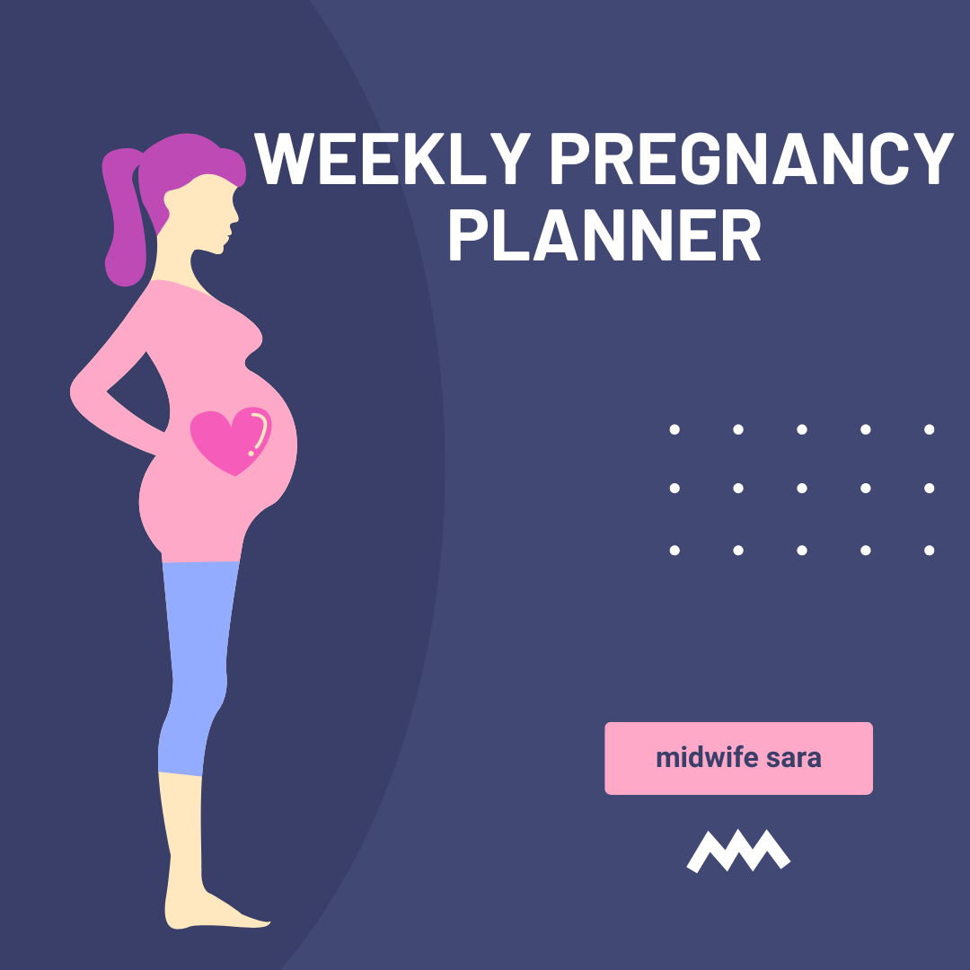 Weekly Pregnancy Planner Printable PDF For Moms to be Payhip weekly-pregnancy-planner-printable-pdf-for-moms-to-be-payhip