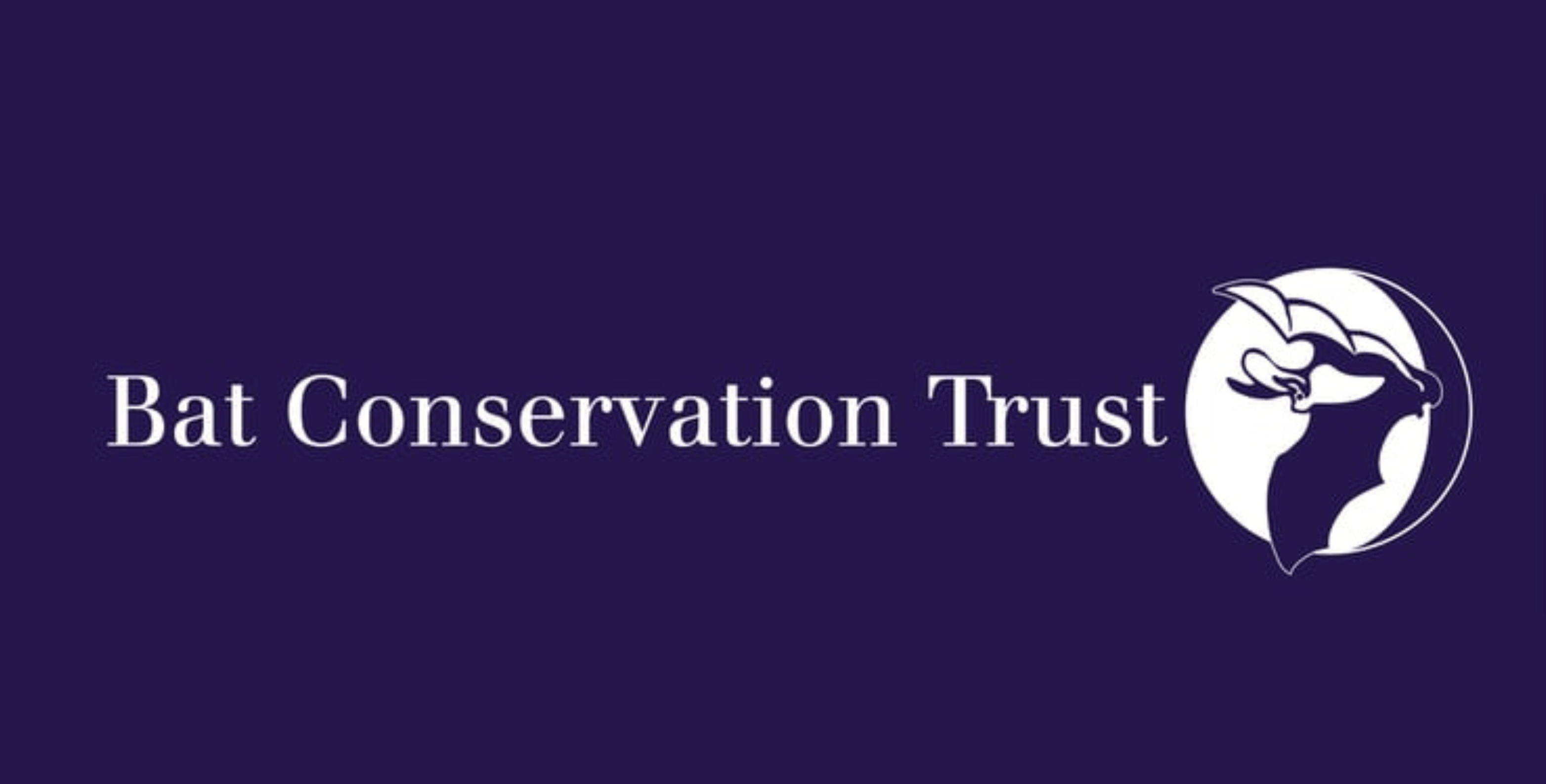 Bat Conservation Trust - Bat Care Guidelines - Payhip