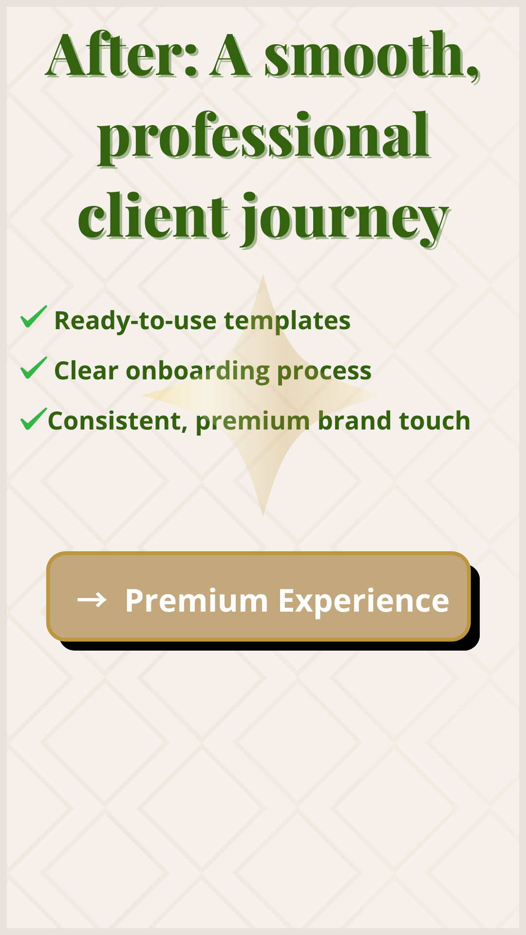 Premium Client Experience Kit – Build a High-End Brand Presence Instantly