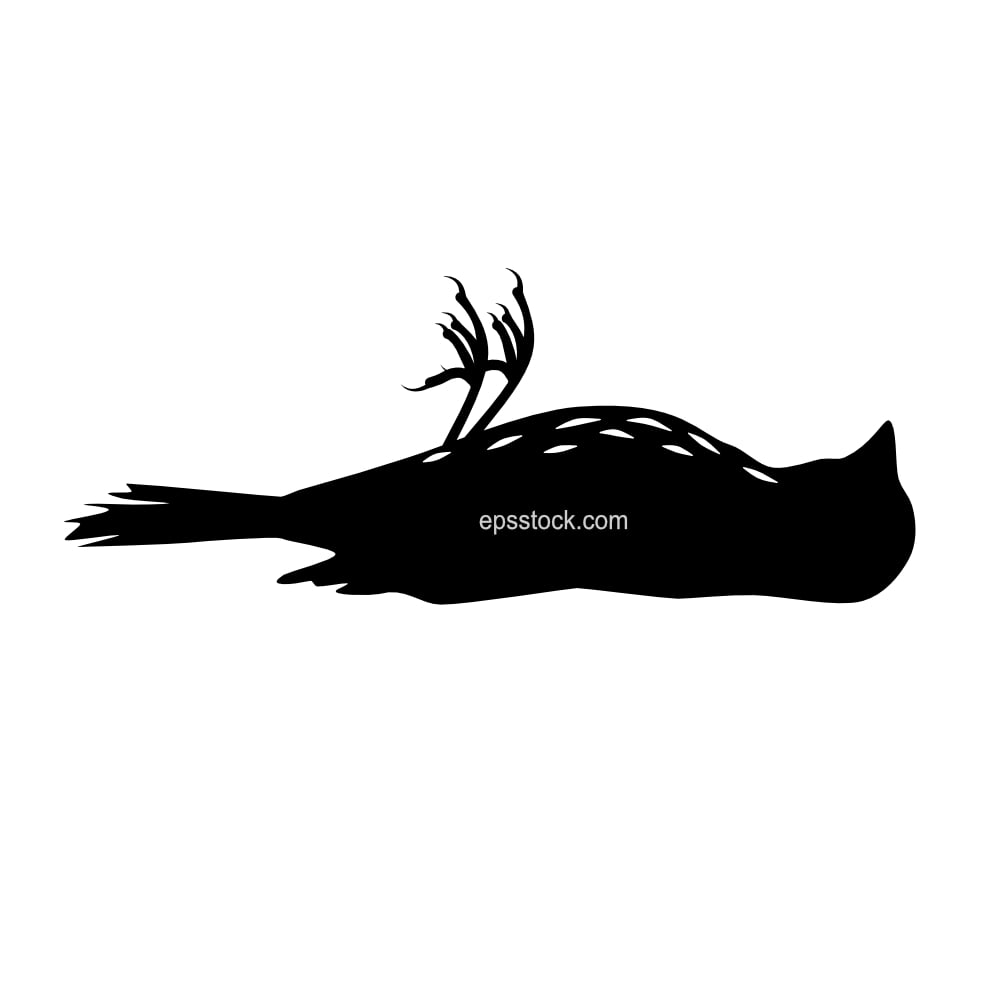 Dead bird
