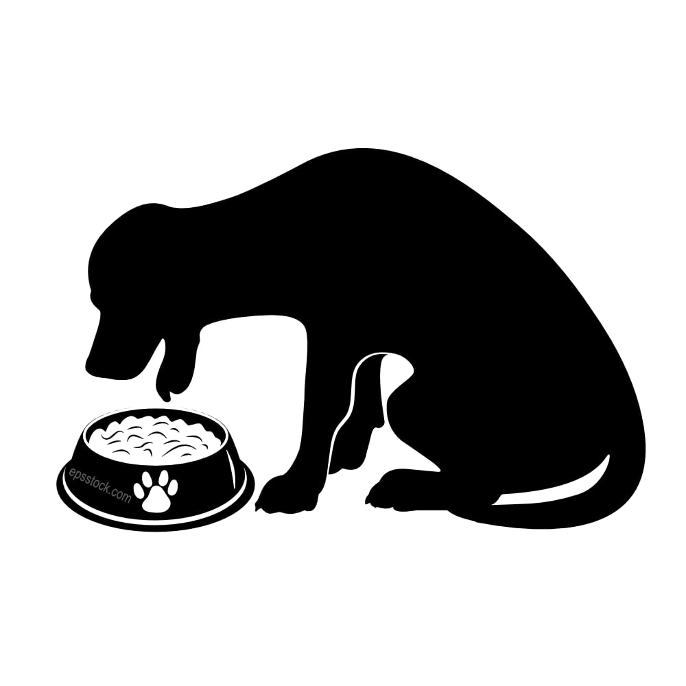 A dog eating from its bowl