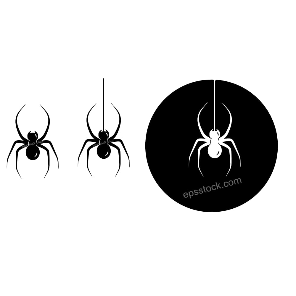 spider hanging from a web