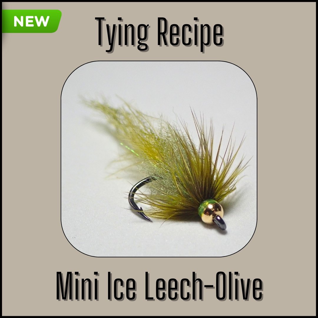 Tying recipe for the Mini Olive Ice Leech trout streamer fly designed by Matt Campbell, The Fly Guy.