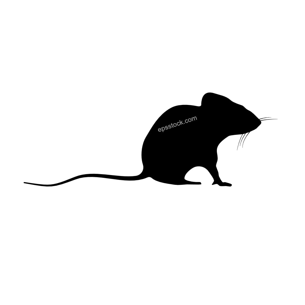 House mouse