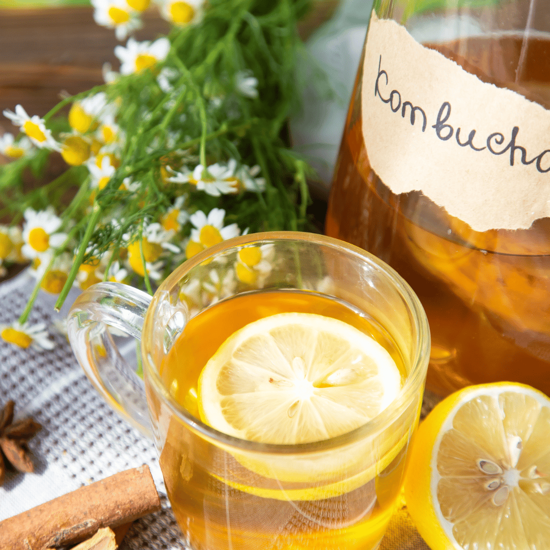 kamomill kombucha
